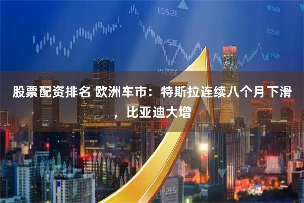 股票配资排名 欧洲车市:特斯拉连续八个月下滑,比亚迪大增
