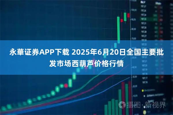 永華证券APP下载 2025年6月20日全国主要批发市场西葫芦价格行情