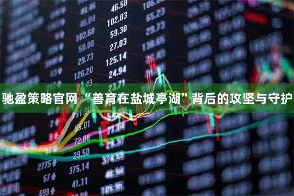 驰盈策略官网 “善育在盐城亭湖”背后的攻坚与守护
