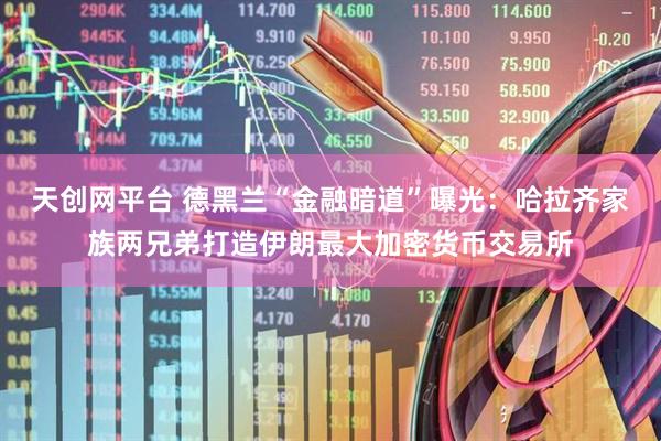 天创网平台 德黑兰“金融暗道”曝光：哈拉齐家族两兄弟打造伊朗最大加密货币交易所